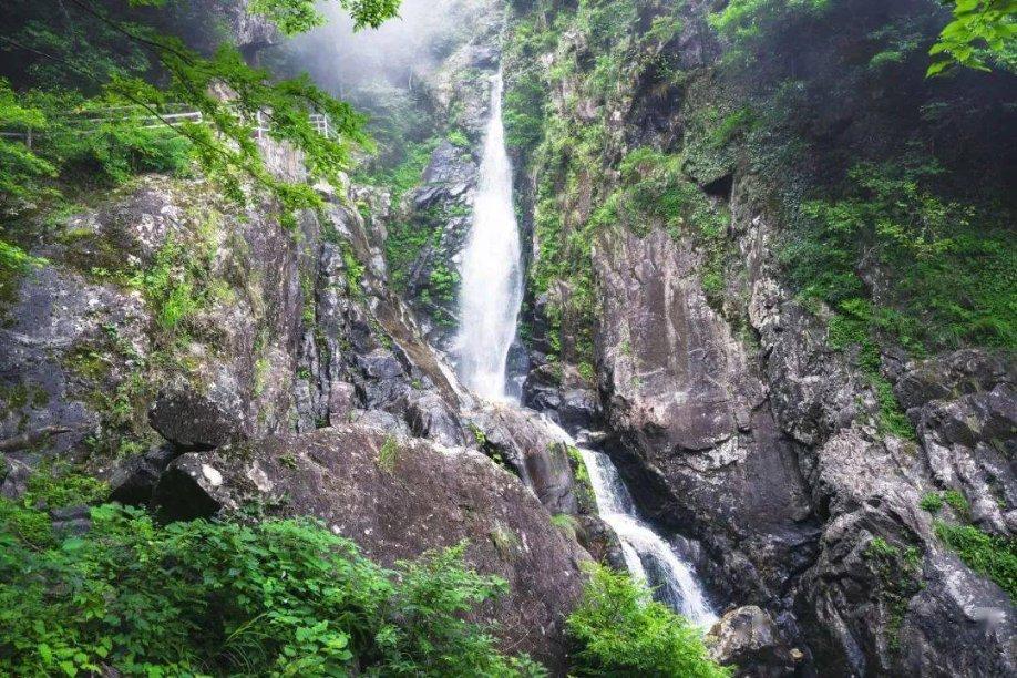 蝴蝶领结